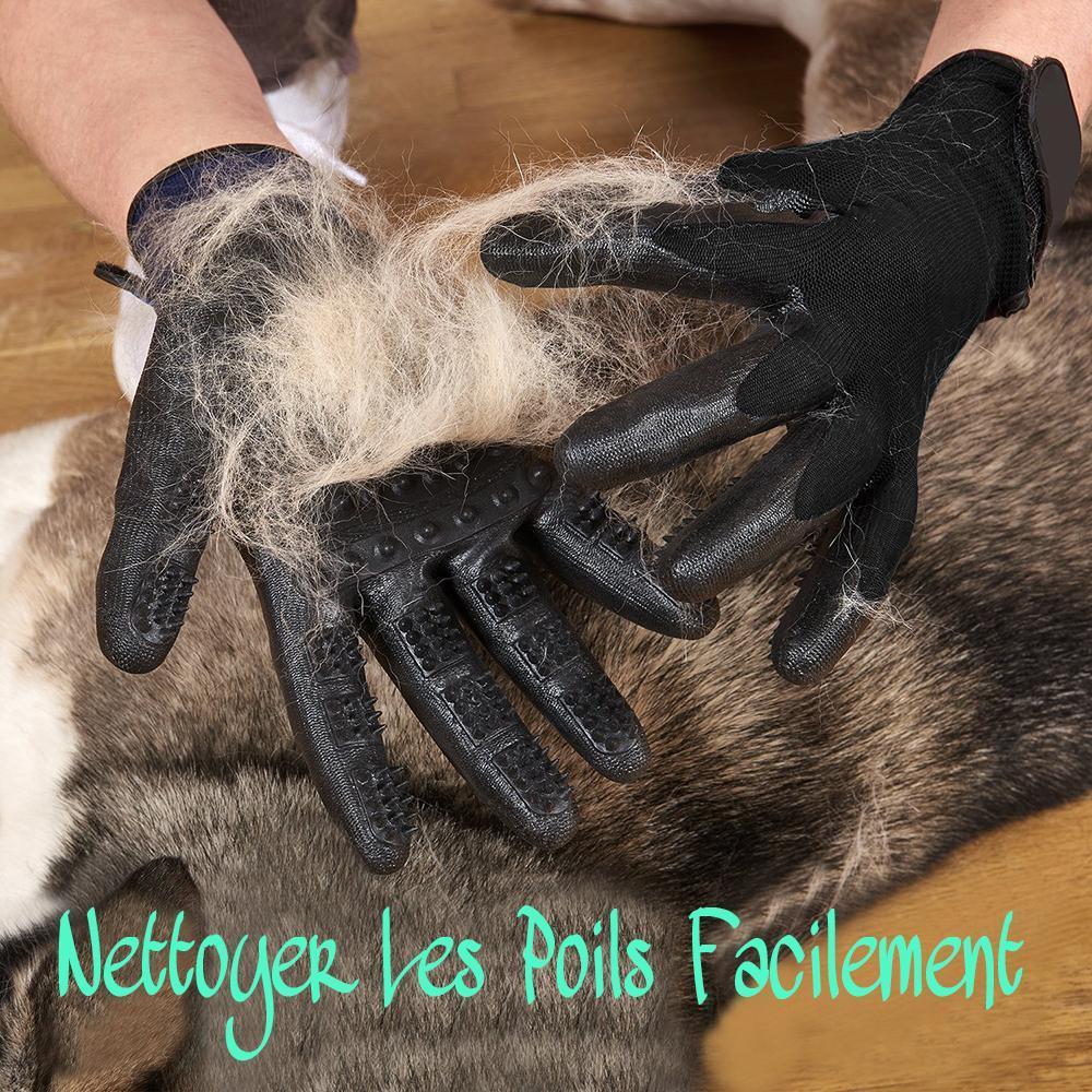 Gants De Toilettage Pour Animaux De Compagnie