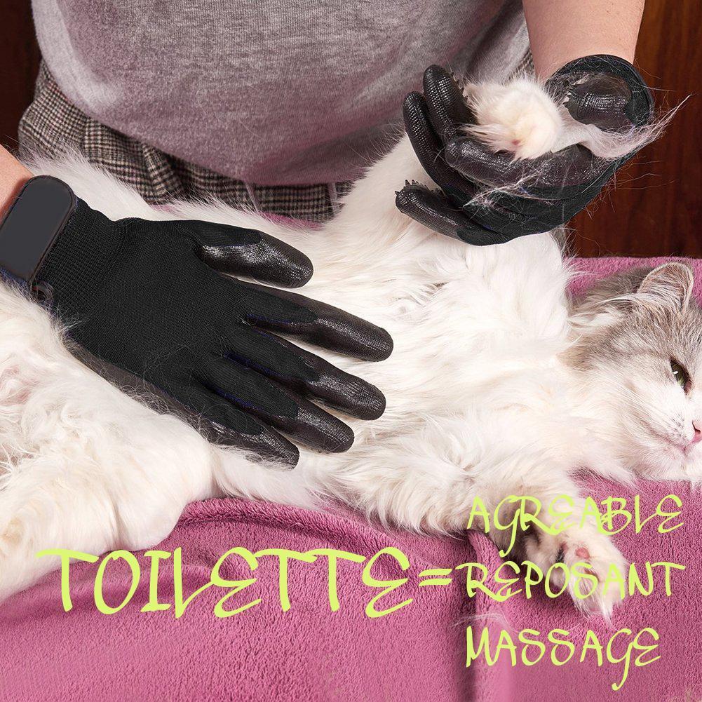 Gants De Toilettage Pour Animaux De Compagnie