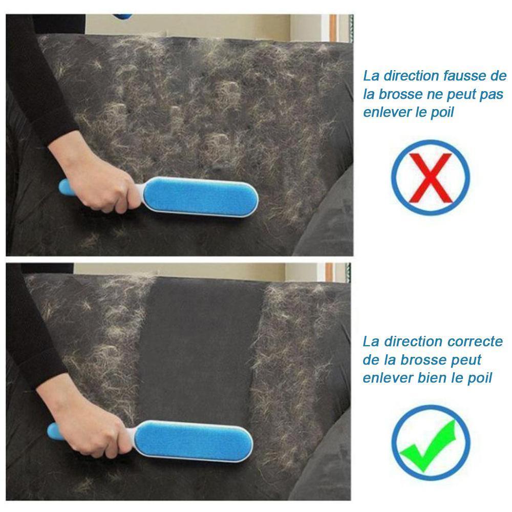 Brosse Anti-Poil