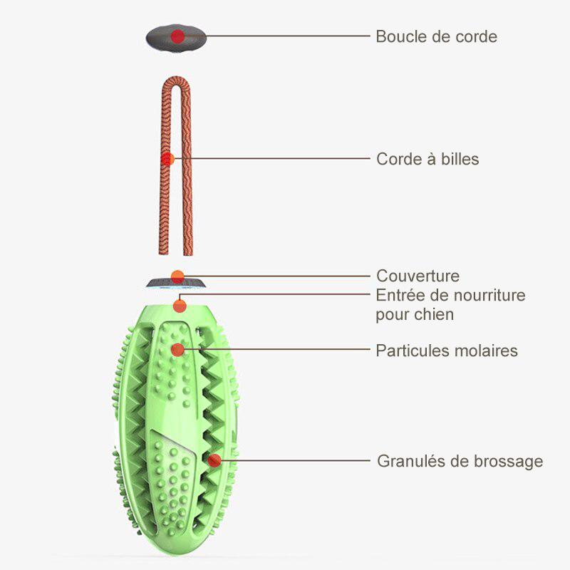 Jouet de Brosse à Dents pour Chien