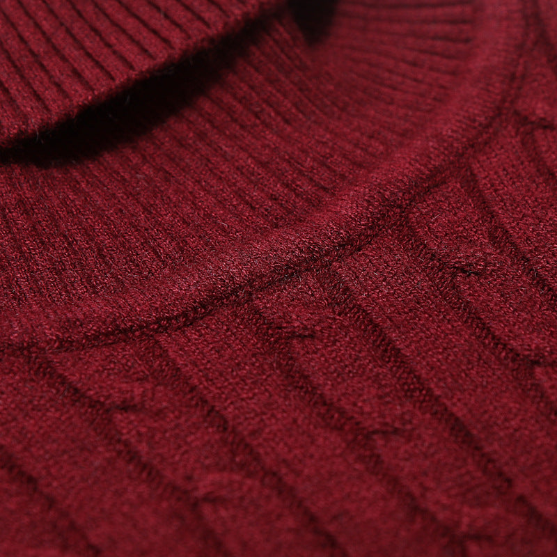 Pull à Col Roulé en Maille pour Homme