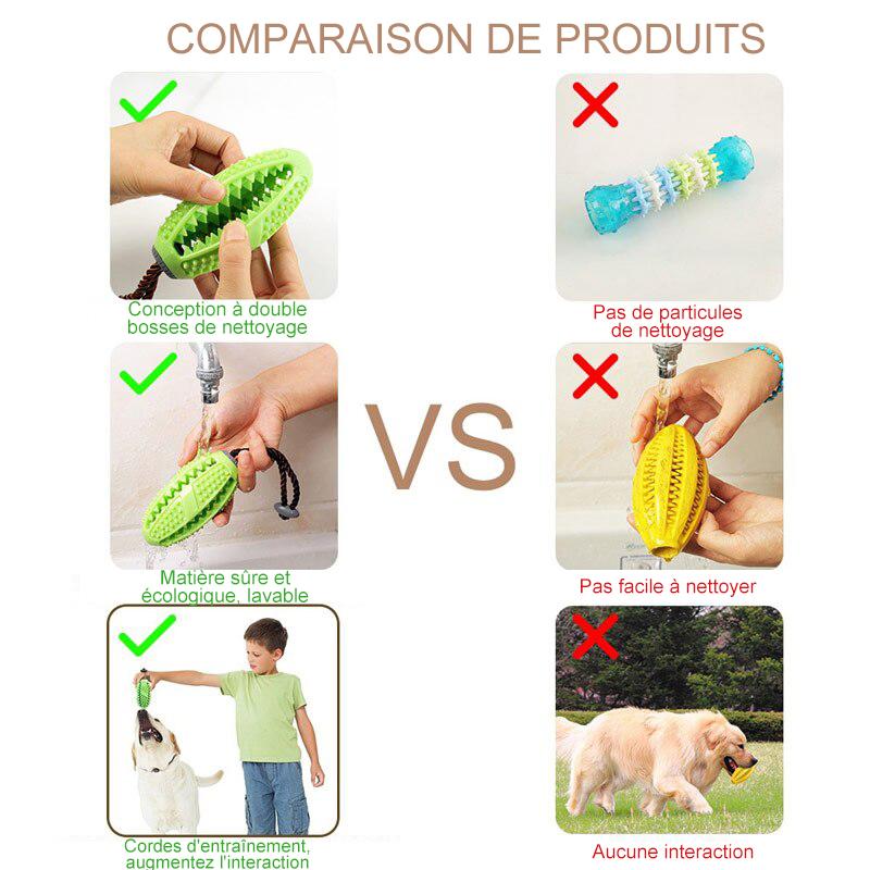 Jouet de Brosse à Dents pour Chien