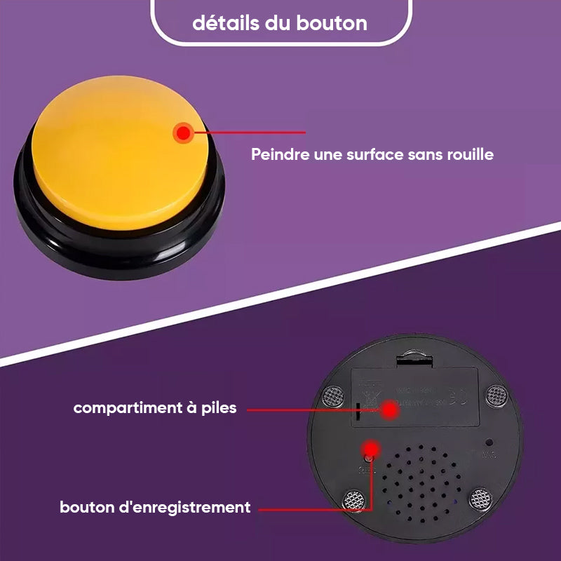 Enregistrement Vocal Bouton Sonore Dressage d'Animaux