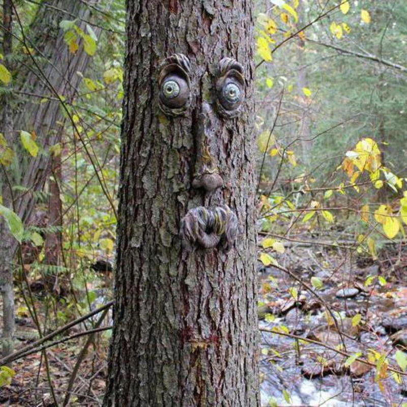 Décoration Extérieure de Visage d'Arbre