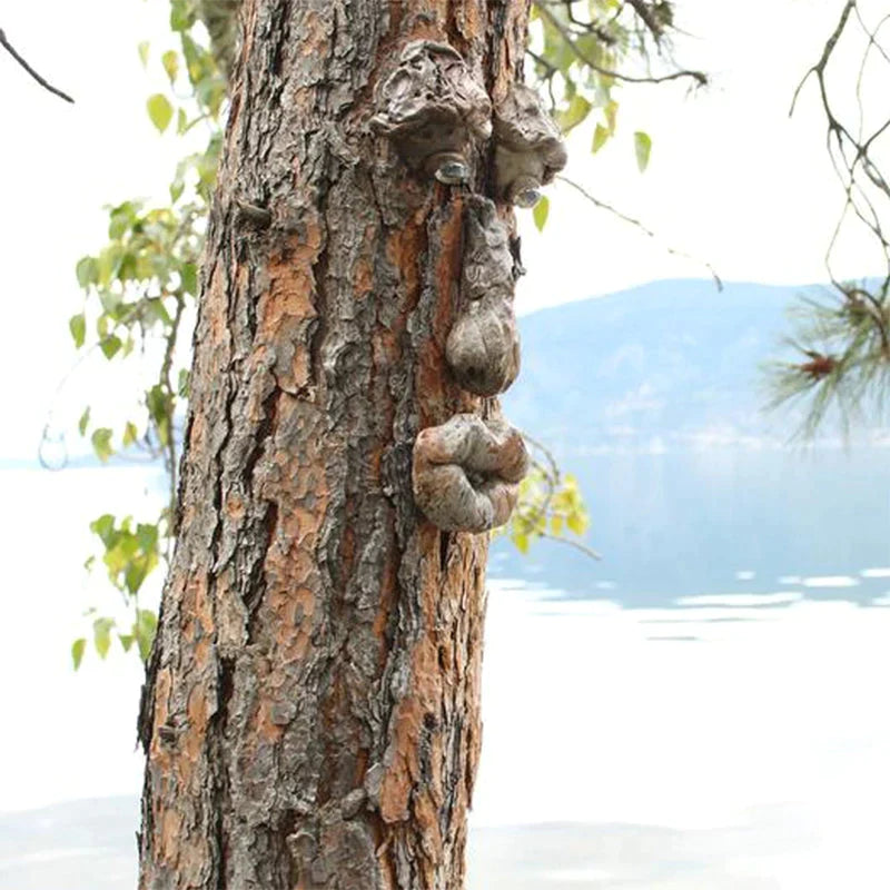 Décoration Extérieure de Visage d'Arbre