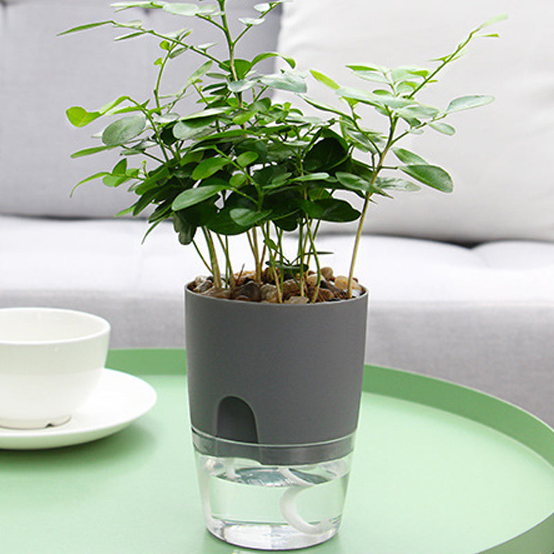 Pot écologique auto-arrosant