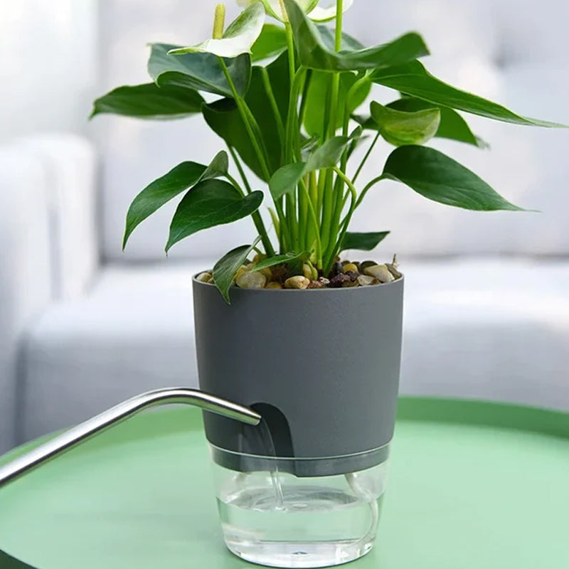 Pot écologique auto-arrosant