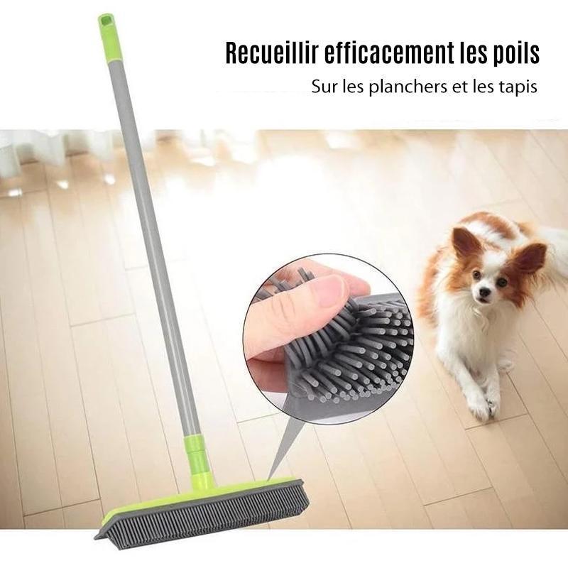 Brosse en caoutchouc multifonctionnelle