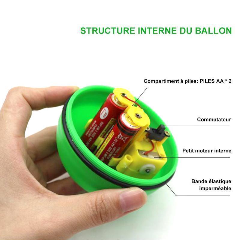 Castor Beaver Ball Electric Pour Chien