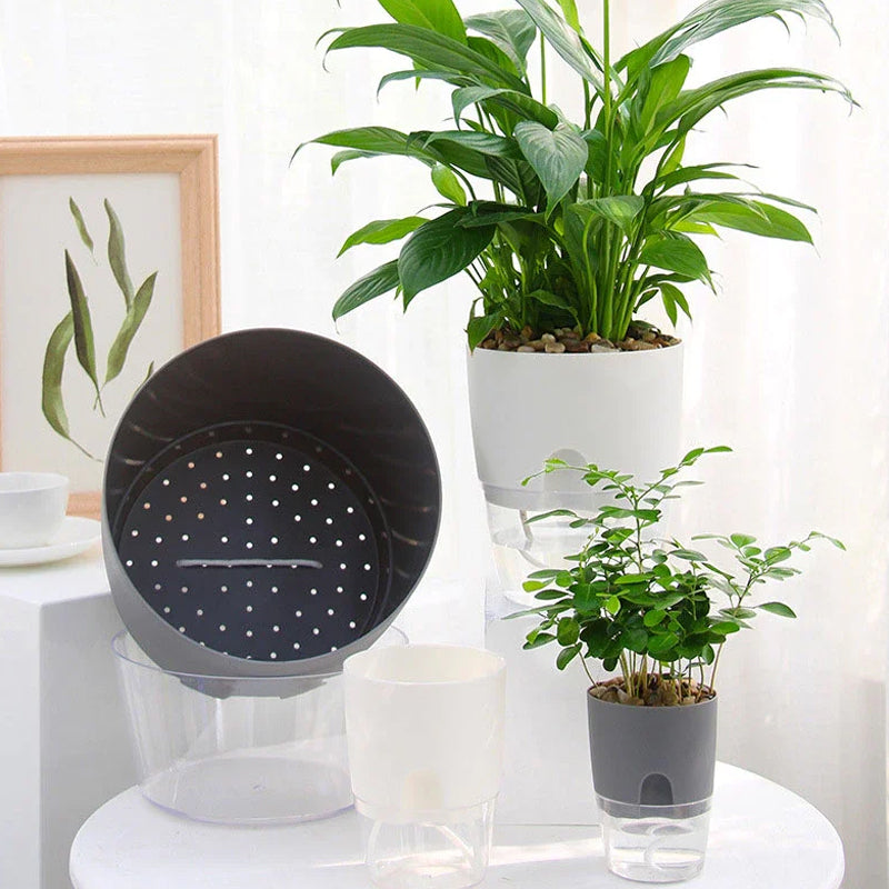 Pot écologique auto-arrosant