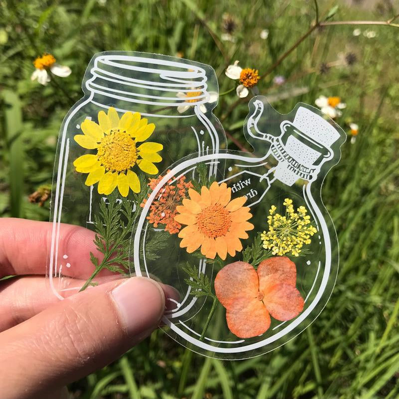 🌸Signets de Fleurs Séchées Transparentes(avec ruban de 10 m gratuit)🦋