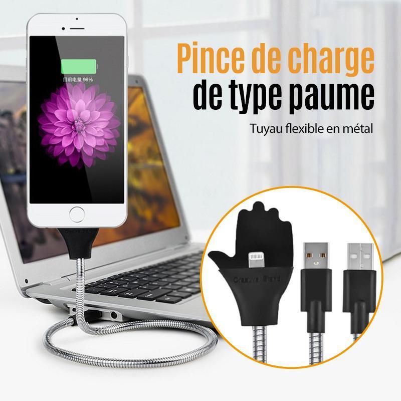Câble de données de Chargement de Paume variée pour Apple, Android, Type-c