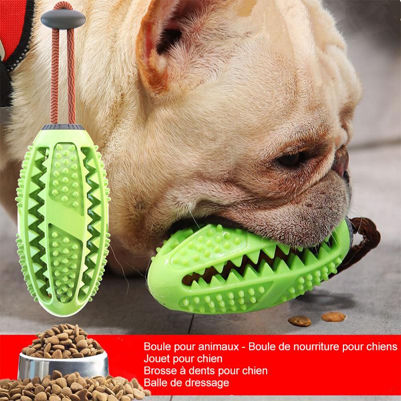 Jouet de Brosse à Dents pour Chien