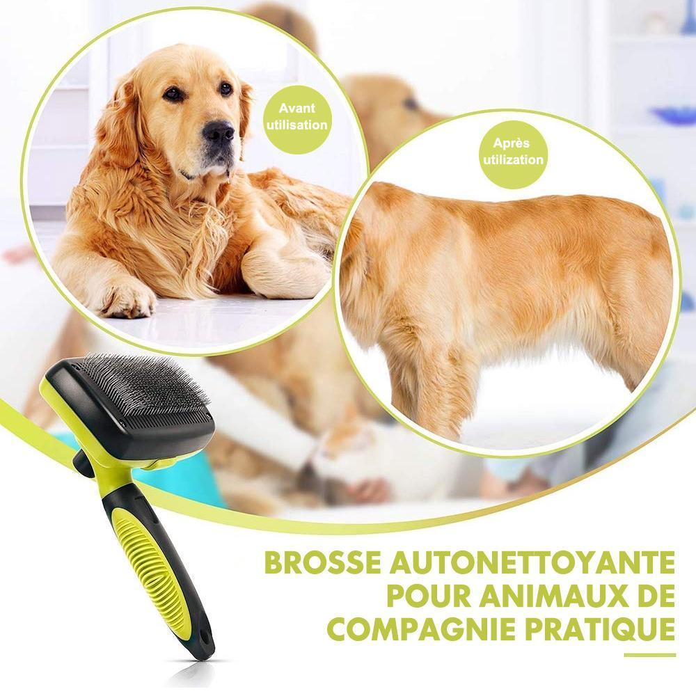 Brosse Nettoyante pour Animaux de Compagnie