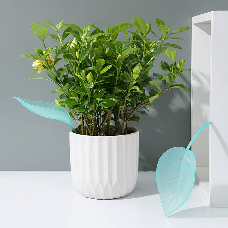 🌸🥬Feuilles d'arrosage drôles (6pcs)🥬🌸