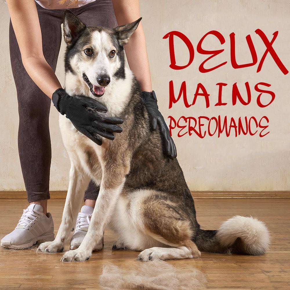 Gants De Toilettage Pour Animaux De Compagnie