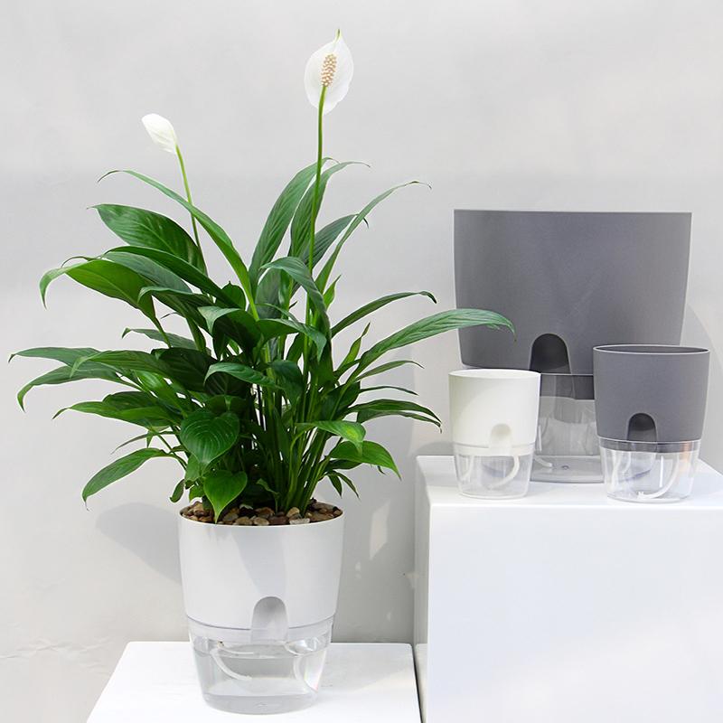 Pot écologique auto-arrosant