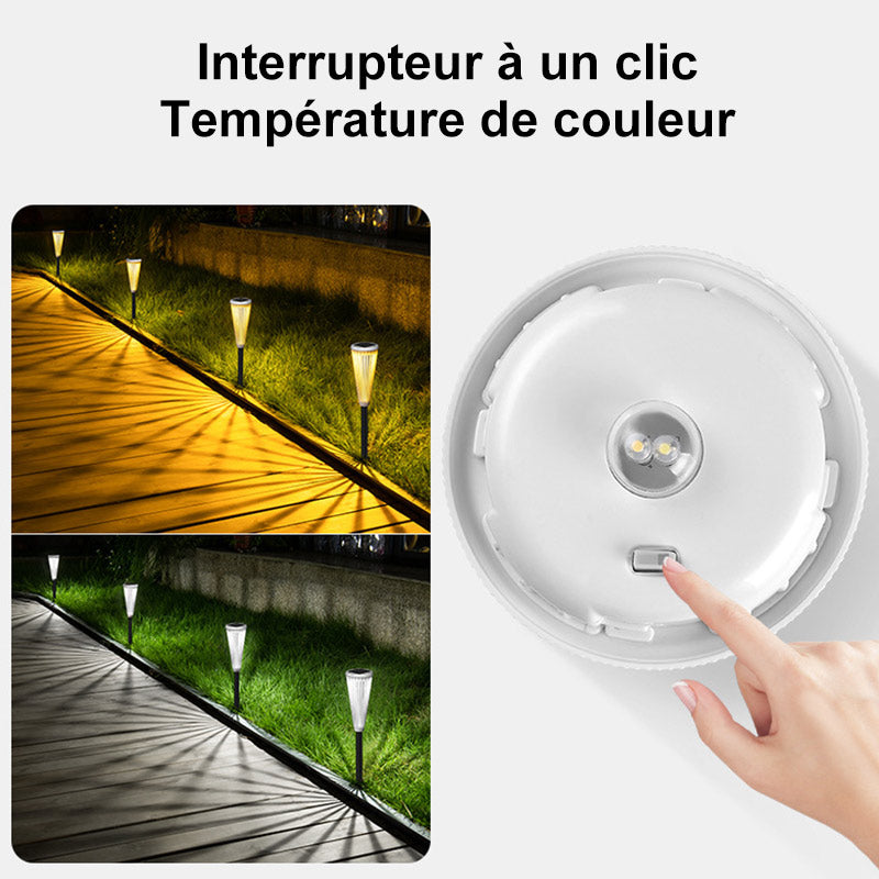 Lampes Solaires pour Allées de Jardin (2pcs)