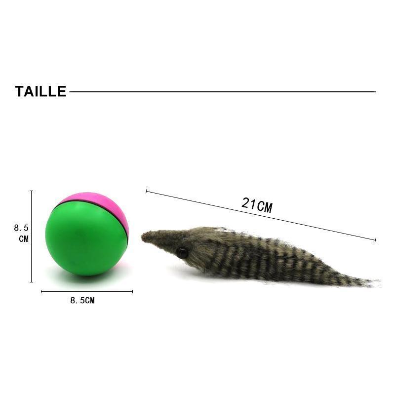 Castor Beaver Ball Electric Pour Chien