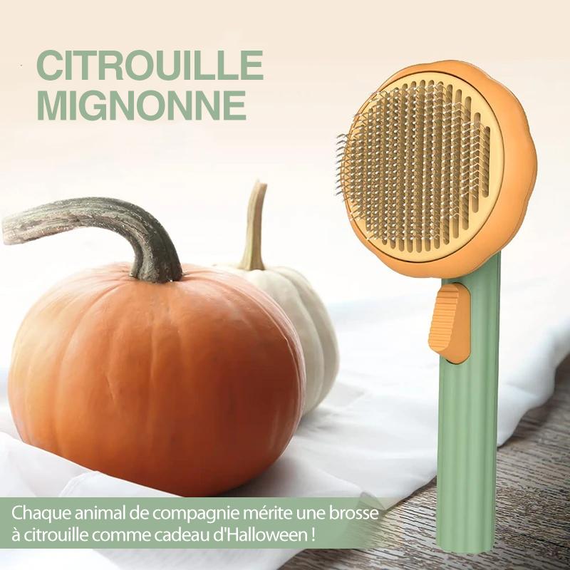 💖 Brosse à Peigner Citrouille pour Animaux de Compagnie