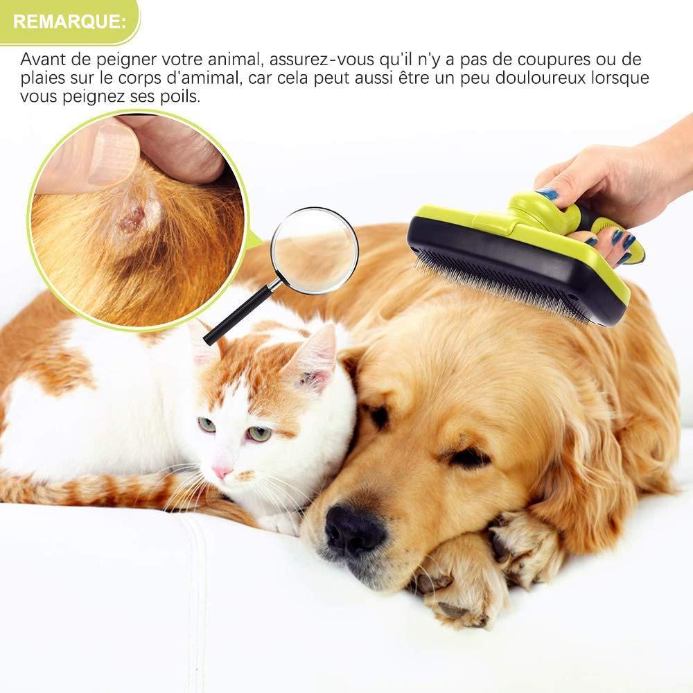 Brosse Nettoyante pour Animaux de Compagnie