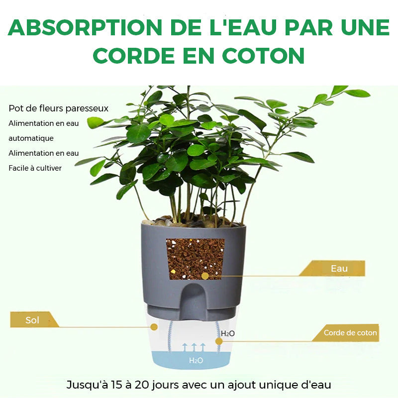 Pot écologique auto-arrosant
