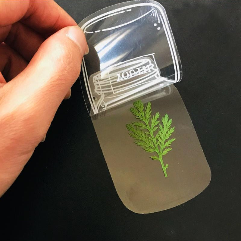 🌸Signets de Fleurs Séchées Transparentes(avec ruban de 10 m gratuit)🦋