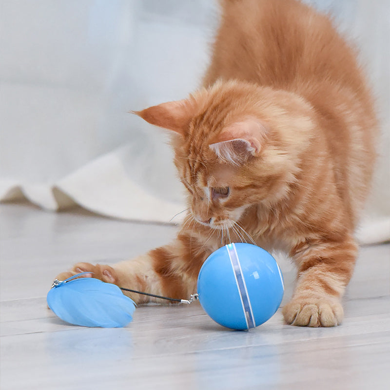 (🌲Vente de Noël -48 % de réduction) Jouet Boule Laser pour Chat🎉