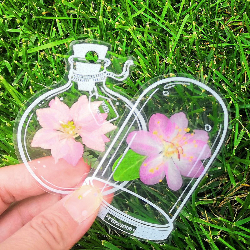 🌸Signets de Fleurs Séchées Transparentes(avec ruban de 10 m gratuit)🦋