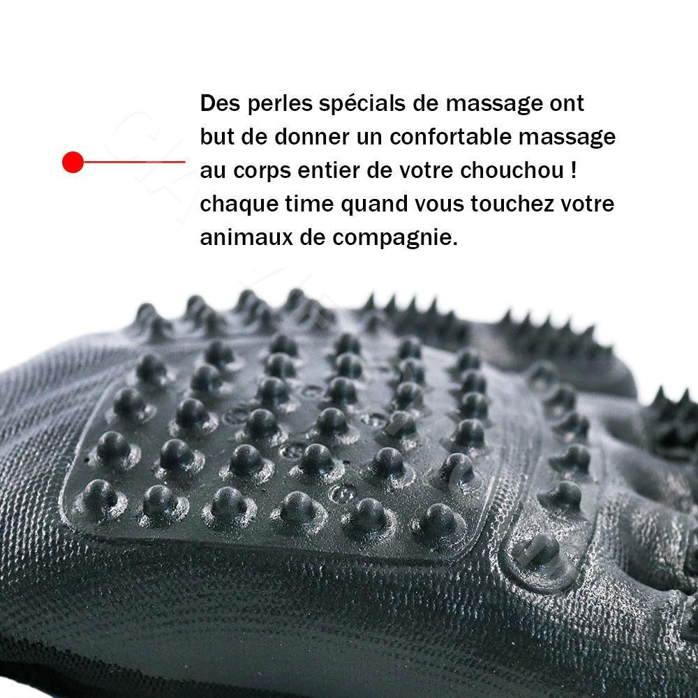 Gants De Toilettage Pour Animaux De Compagnie