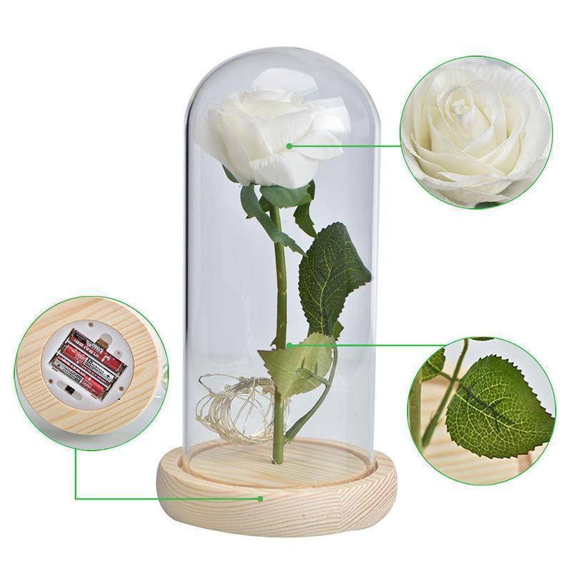 La Belle et la BĂȘte Rose