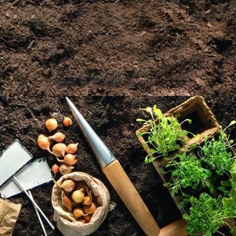 Marqueur de jardin Cadeau d'amitié
