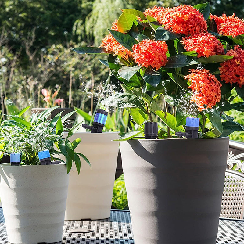 Set d'Arrosage pour le Jardin
