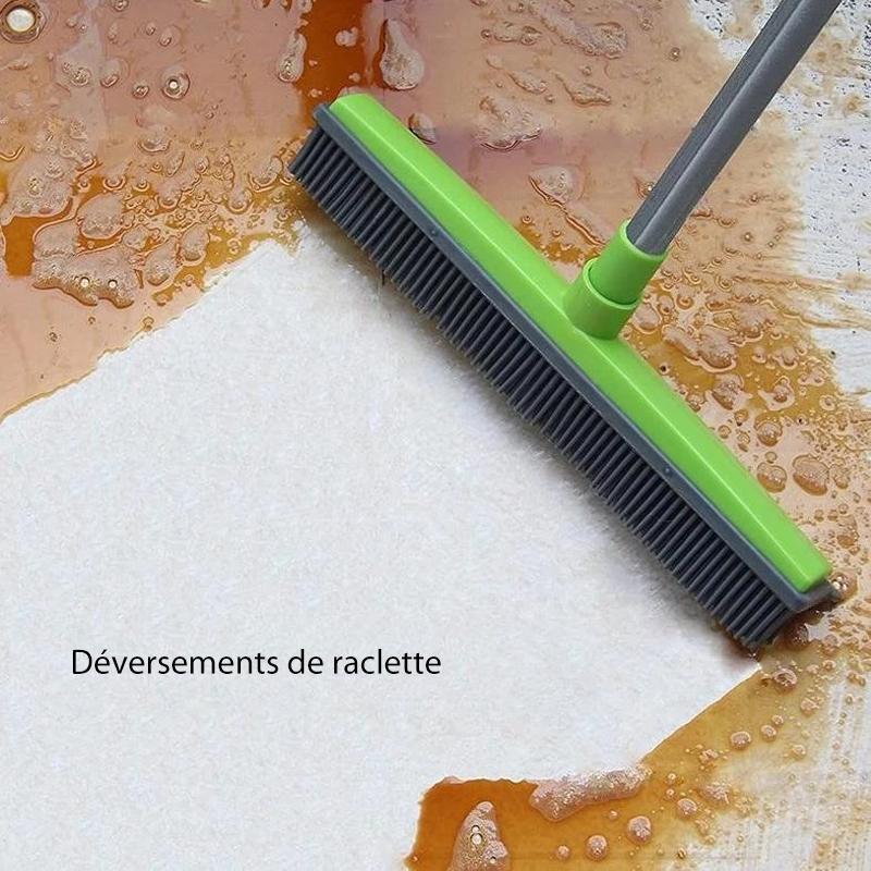 Brosse en caoutchouc multifonctionnelle