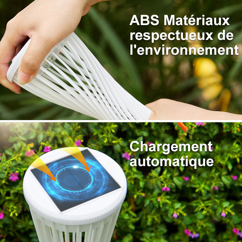 Lampes Solaires pour Allées de Jardin (2pcs)