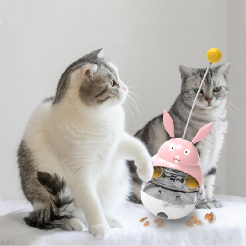 Bâtonnet chat