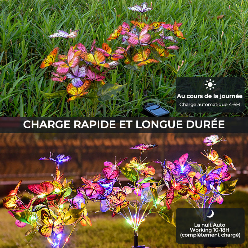 🌞✨Lampes solaires papillon pour jardin