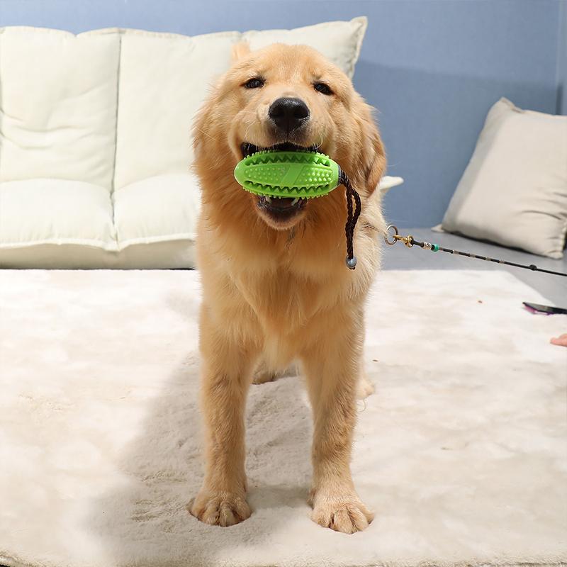 Jouet de Brosse à Dents pour Chien