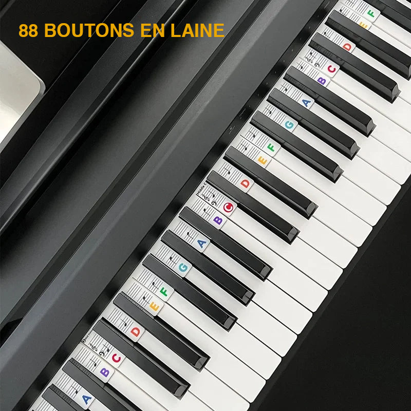 🎁Étiquettes Amovibles pour Partitions de Clavier de Piano