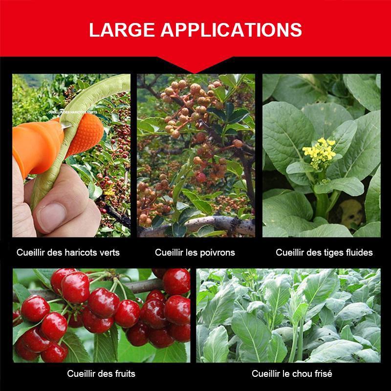 Couteau à Pouce pour Cueillir Légumes et Fruits