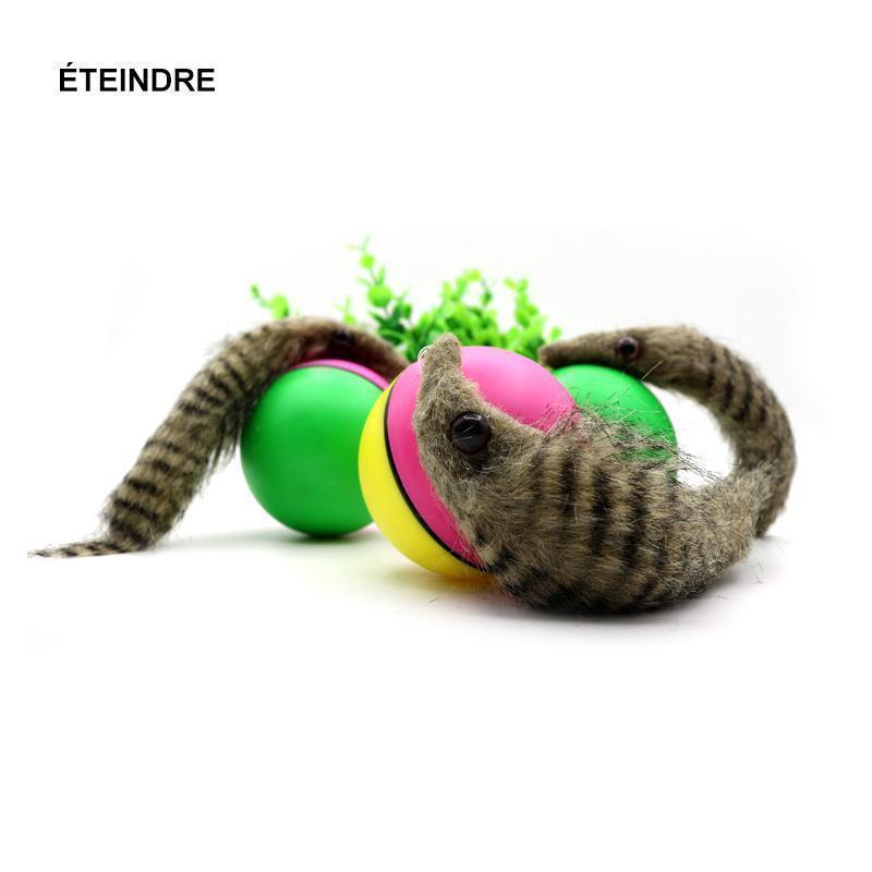 Castor Beaver Ball Electric Pour Chien
