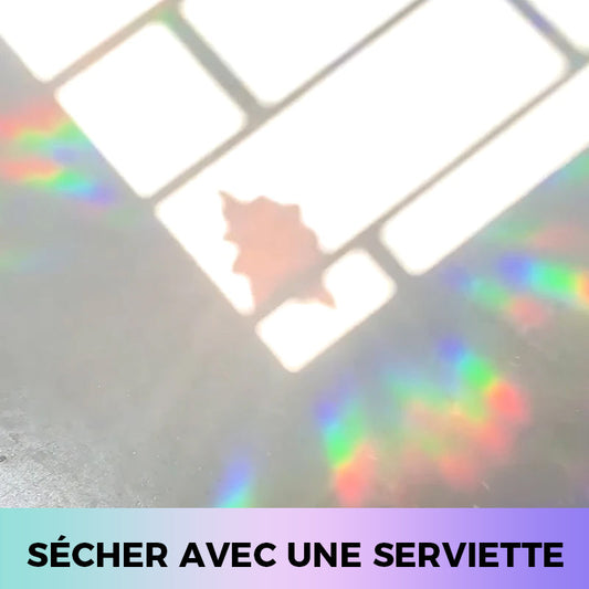 PVC animal coloré autocollant anti-collision pour vitres(6 pcs)