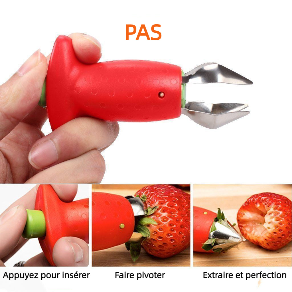 đ Trous de Fraise