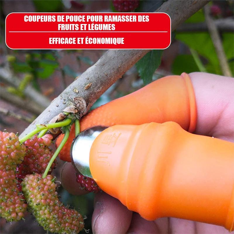 Couteau à Pouce pour Cueillir Légumes et Fruits