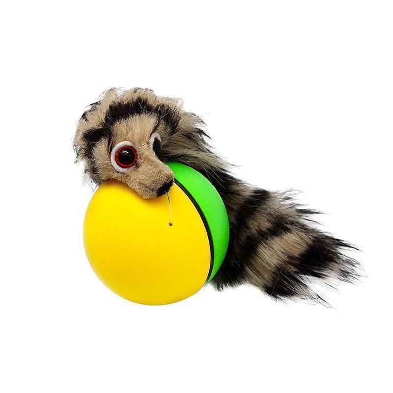 Castor Beaver Ball Electric Pour Chien