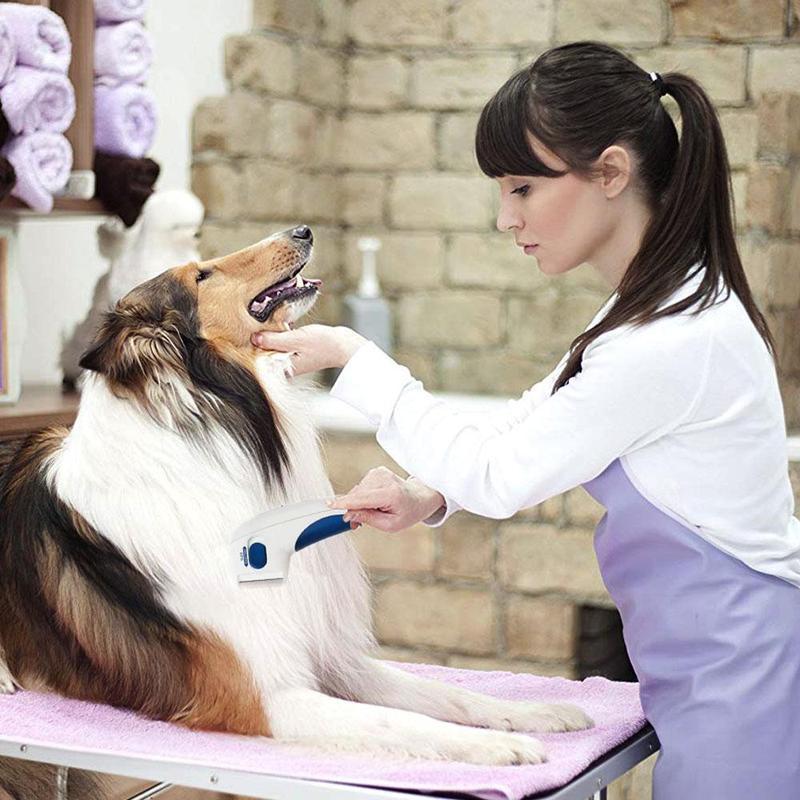 Dissolvant Électrique Pour Animaux Domestiques