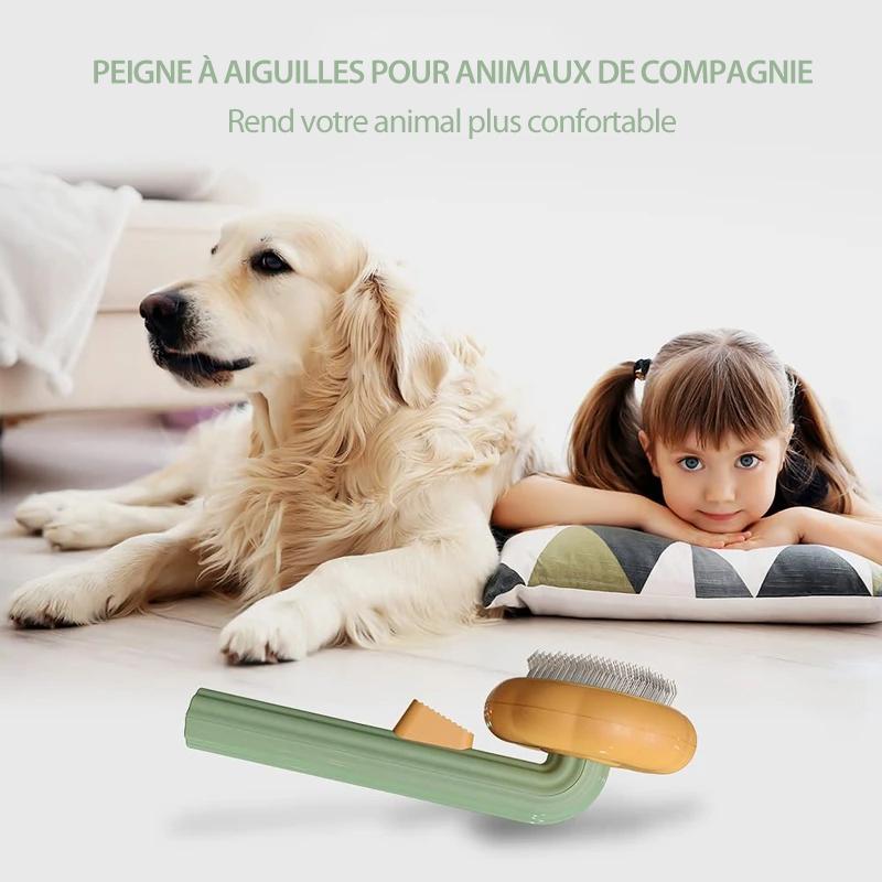 💖 Brosse à Peigner Citrouille pour Animaux de Compagnie