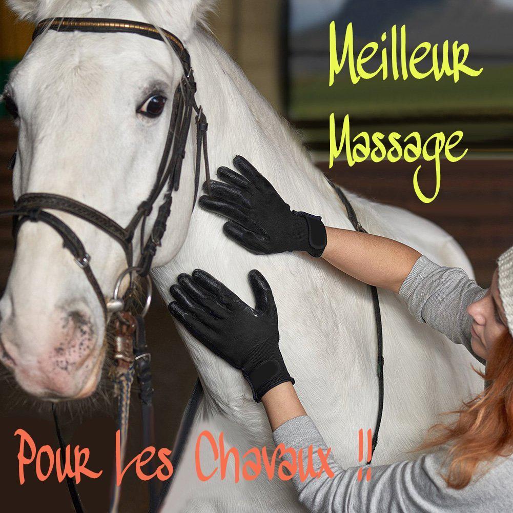 Gants De Toilettage Pour Animaux De Compagnie