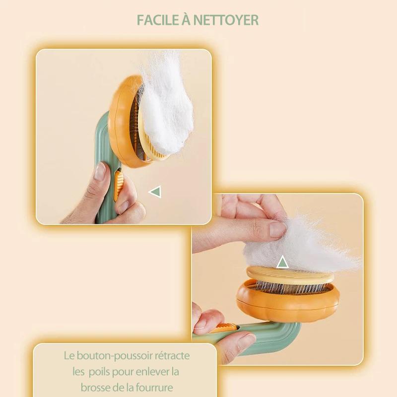 💖 Brosse à Peigner Citrouille pour Animaux de Compagnie