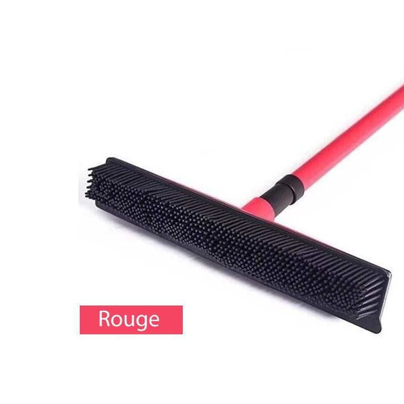 Brosse en caoutchouc multifonctionnelle